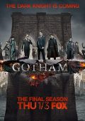 Gotham (2014–2019)